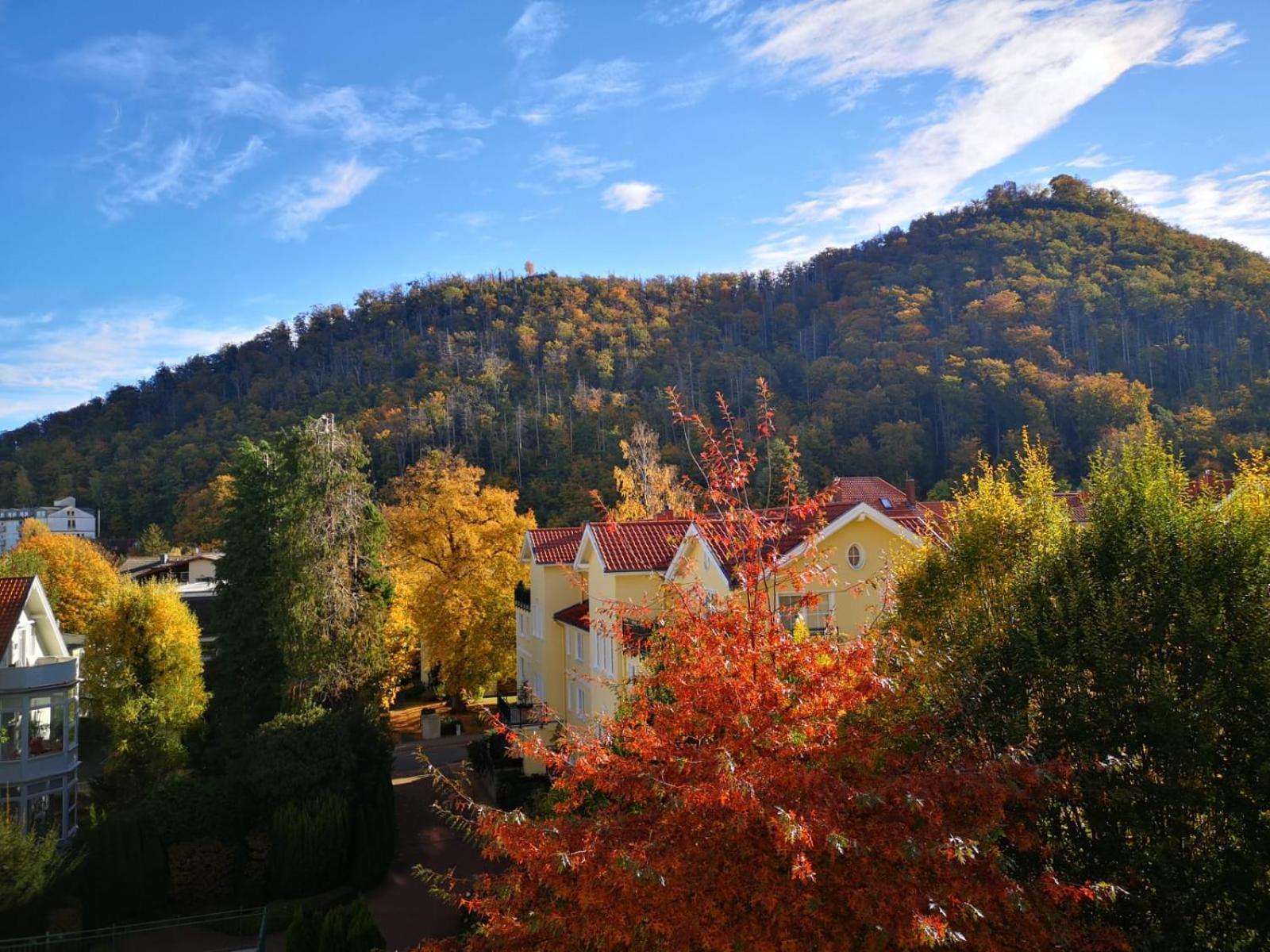 Ferienwohnung Bergliebe Bad Harzburg Exterior foto